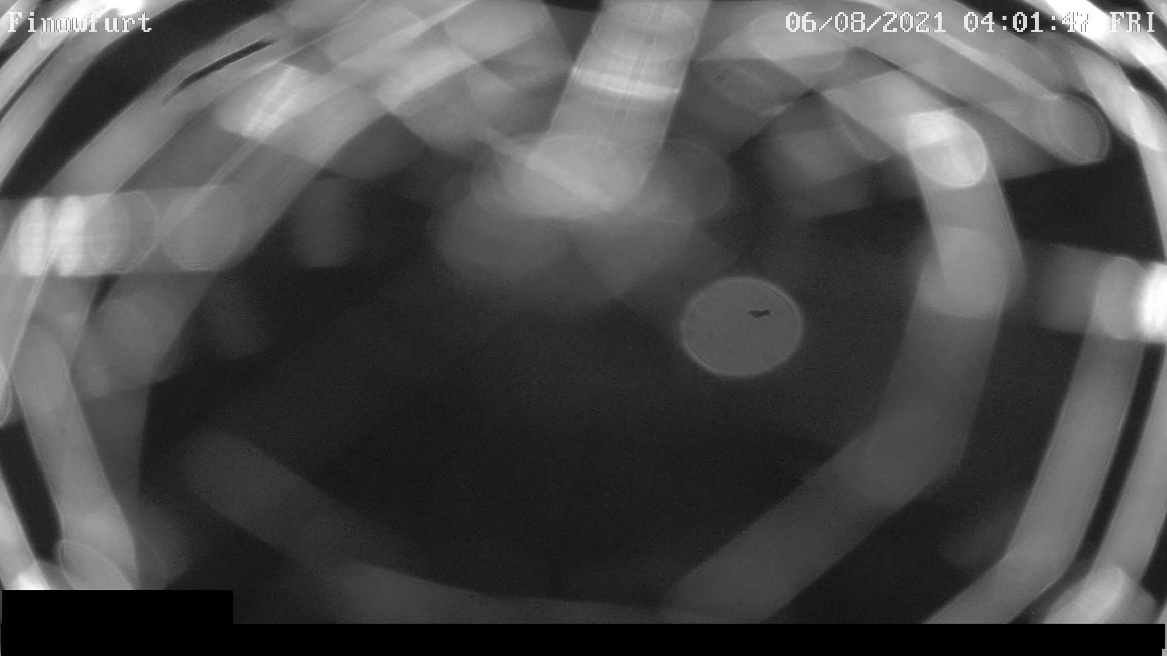 Webcam-Bild von 4 Uhr