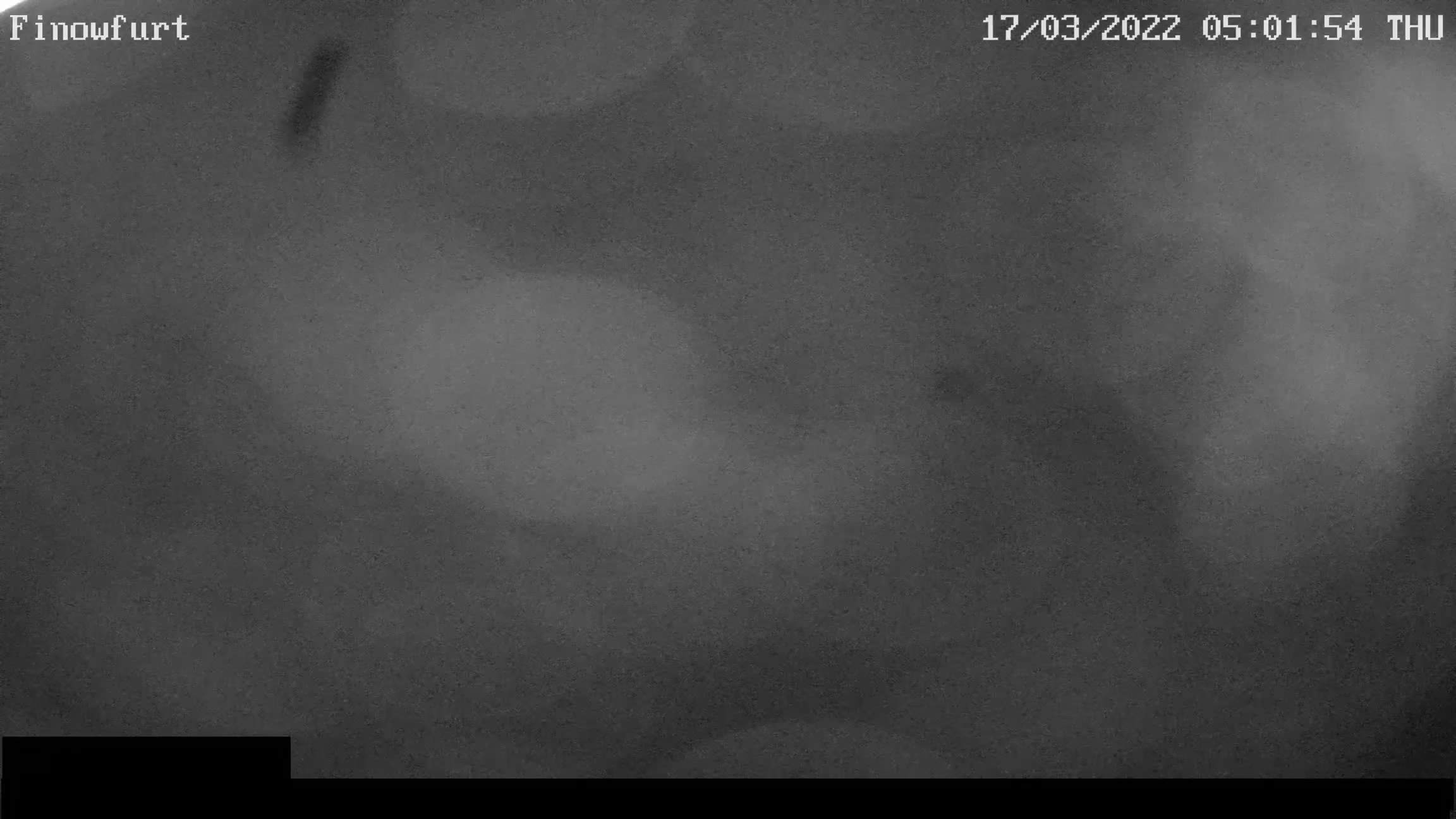Webcam-Bild von 5 Uhr