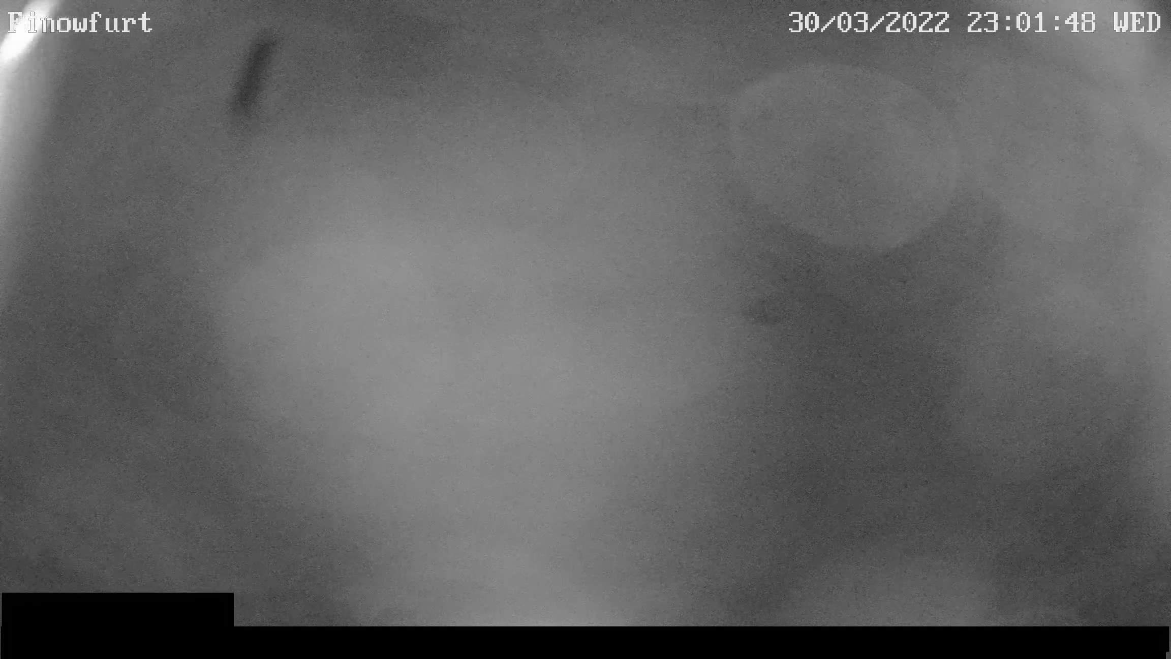 Webcam-Bild von 23 Uhr